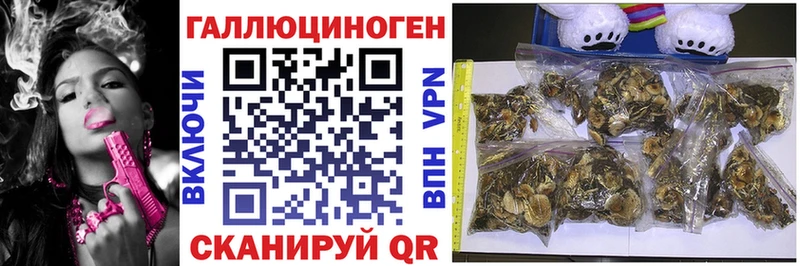 KRAKEN зеркало даркнет сайт Юхнов Псилоцибиновые грибы Psilocybine cubensis